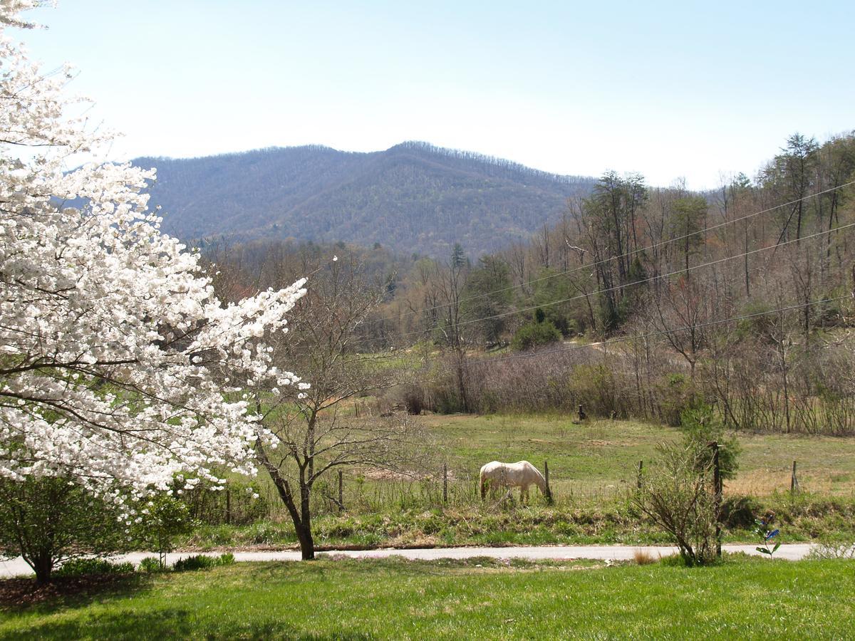 Henson Cove Place Bed And Breakfast W/Cabin Hiawassee Exterior foto