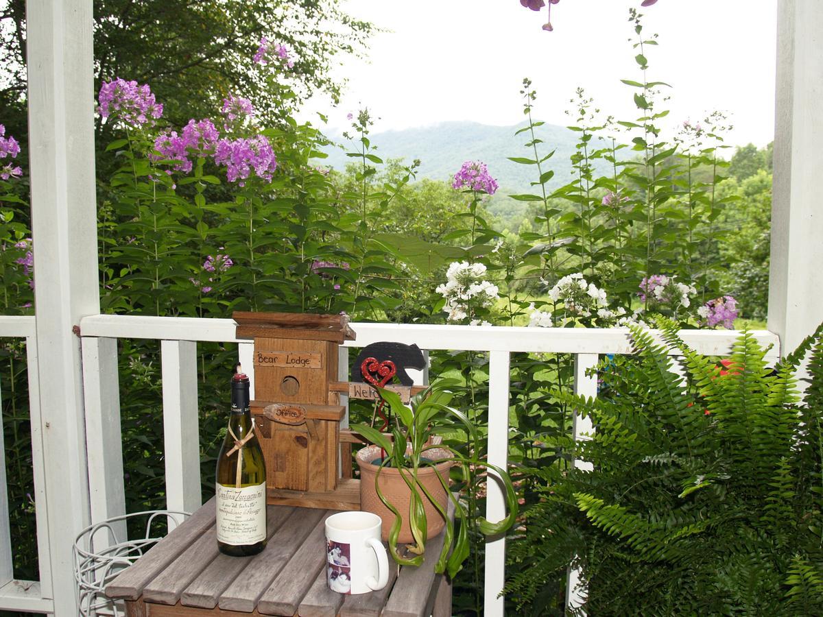 Henson Cove Place Bed And Breakfast W/Cabin Hiawassee Exterior foto